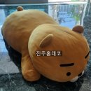 진주홈데코
