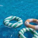 아산시-2011-010 이미지