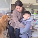 (유)돈대돈 - 완주군 | 피부과 시술에 수백 썼던 제가 정착한 인생템 플라센타 태반크림 재생크림 찐후기