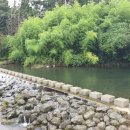 제주카라공인중개사사무소 이미지