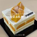 서울 신라호텔 패스트리부티크 망고 쇼트 케이크 구매 후기