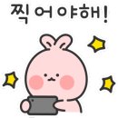 꽃꽂이(야간) 네이버블로그