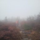 바위천국  송호삼거리 | [등산] 설악산 공룡능선