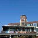 순광식당 | 여행 점심식사 추천, 현지인 웨이팅 노포 맛집 "순광식당" 방문기 : 산낙지비빔밥🐙🍚 (내돈내산/솔직후기)