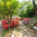 자바브레이크