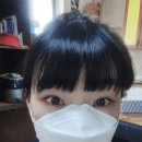 메디텍스 이미지