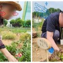 효재농장 네이버블로그