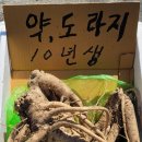 대길농산물유통 | [일상] 강원도 영월 오일장 탐방기