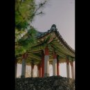 표선리-19 | [제주도 여행지 추천] 제주민속촌 제주도 여행의 필수 코스