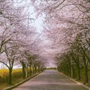 반 휘트니스 이미지