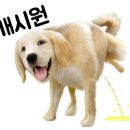 닥터호오 동물병원 이미지