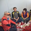 썬풀라워 이미지
