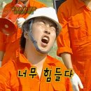 수에르테 이미지