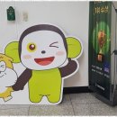 성남청담에이프릴어학원 네이버블로그