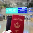 서울에서의 마지막 날은 BB들과 함께 보냈어요 🥰 #travelog #day11 #korea 이미지