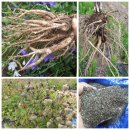 로타리슈퍼 이미지