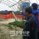 춘강 농장 이미지