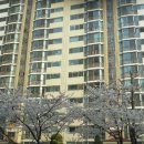 홍대명문공인중개사사무소 이미지