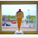 세븐일레븐 삼척비치점 | 삼척해수욕장 카페 여행하며 만난 초당순두부젤라또 독특한 디저트