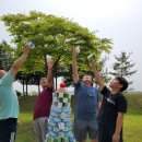 주덕초등학교 이미지