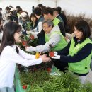 희망의 나무 이미지