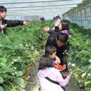 김만식농장 이미지