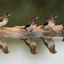 컴퓨터 기초 활용 이미지