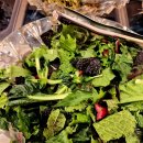 올인식당 이미지