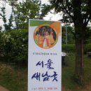 새남 이미지