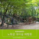 노원골유아숲 이미지