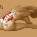 아레스짐&필라테스 혁신도시점 이미지