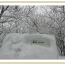 소슬농장 Daum카페