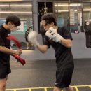 미스터 복싱 짐 율전점 이미지