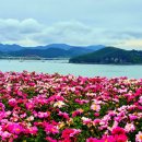 꽃밭주유소 이미지