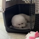 서원켄넬 이미지