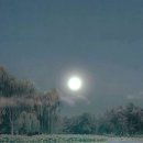 플로라뷰티 이미지