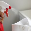 팝디자인 쇼핑하우