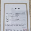 농장 | 경주 친환경 무농약 블루베리 농장 체험후기