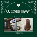 4556 | 배곧미용실 오, 늘헤어 배곧점 염색 손상모 3단계 클리닉으로 효과 본 후기 (주차, 할인 꿀팁)
