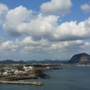 설렘제주