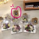 플라워피부과의원 이미지