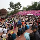 양지-3560 이미지