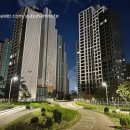 메이플(생활형) 이미지