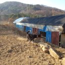 동운농장 이미지