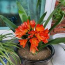 둔산중로32번길 이미지