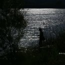 오류내낚시터 이미지