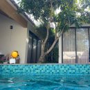 굿모닝렌트카 | DAY2] 뉴월드리조트 3베드 가든풀빌라 후기 / 프라이빗 렌트카 추천 / 반쎄오맛집 메오키친 / 선셋타운...