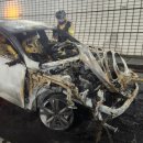 부산터널 1 이미지