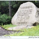 평창들꽃 이미지