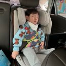시크 맥스아이진 님버스그레이 내돈내산 후기 SEEC 주니어카시트